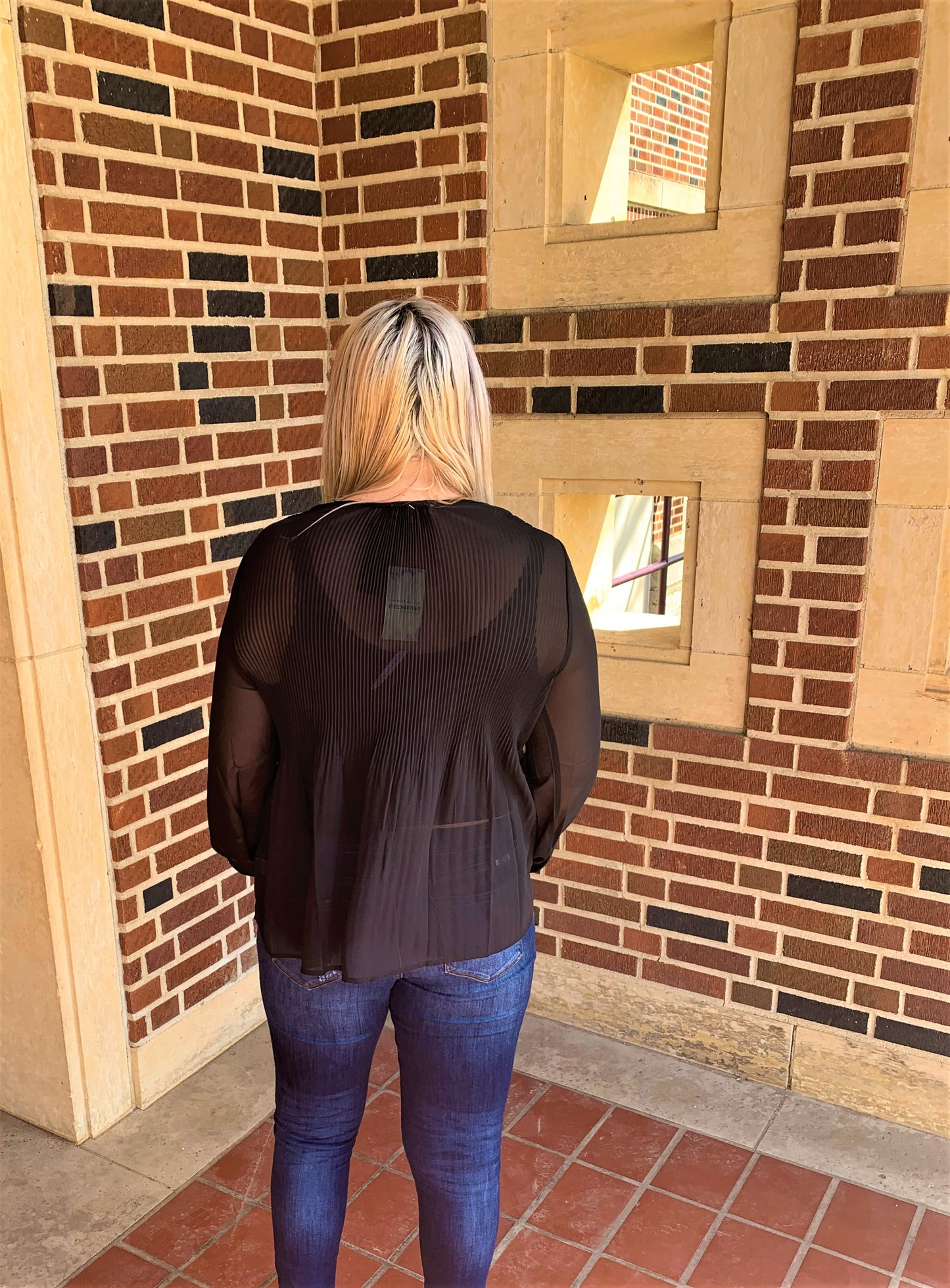 EE:SOME- Pleated Front Tie Sheer Blouse