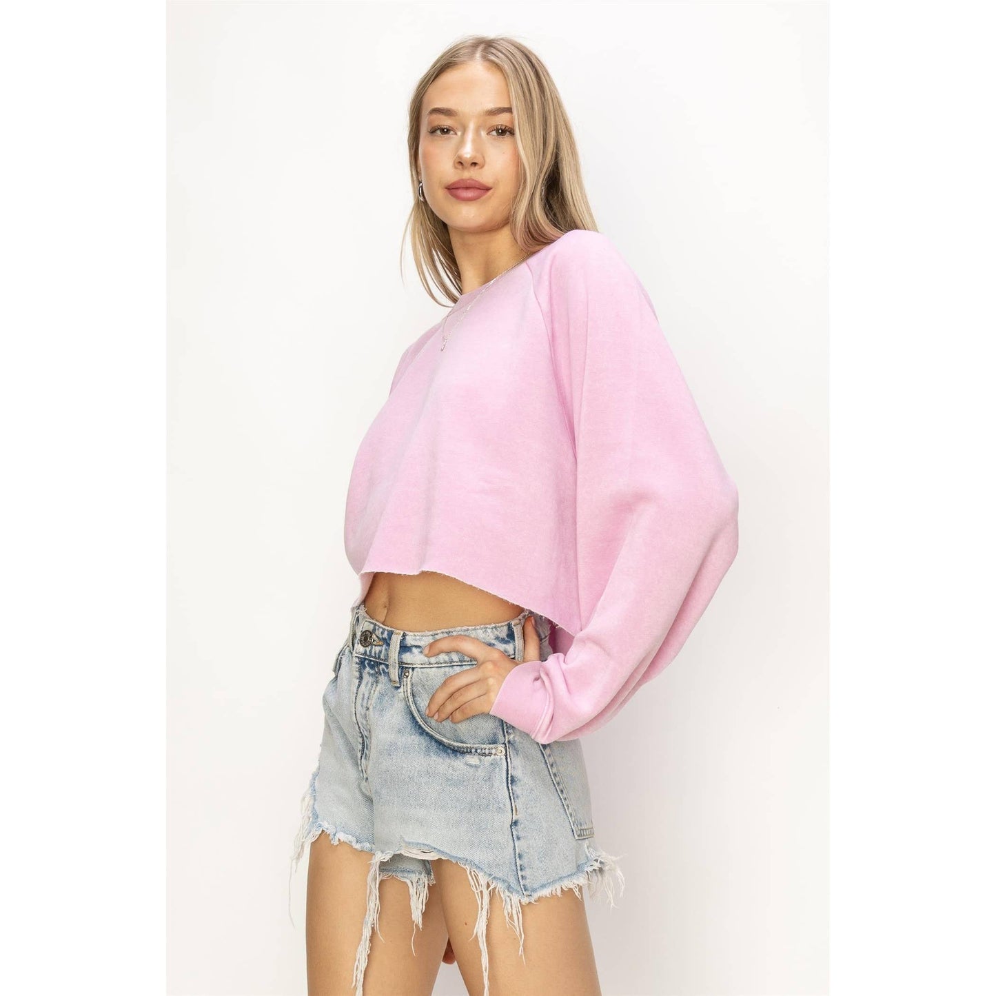 DZ24C251-LAID BACK CROP SWEATSHIRT: S / WATERMELON